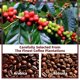 thumbnail image 5 of Mezcla para capuchino, alternativa al café, GANOHERB con reishi, 315 ml, 5 of 7