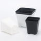 thumbnail image 5 of suxuMhao Maceta, 20 Pzas Macetas Octagonales para Suculentas - con Base, 2.83x2.76in Macetas Blancas para Plantas, Macetas Pequeñas para Plantas Ideales Como Macetero para Suculentas, Macetas para, 5 of 5