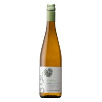 Casas Del Bosque - Vino Riesling