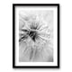thumbnail image 1 of Cuadro Flor De Leon 40x30cms, 1 of 1