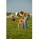 thumbnail image 5 of Cinta métrica Go Outdoor Lufkin FE200D de fibra de vidrio de 61 m, color naranja, 5 of 5