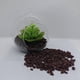 thumbnail image 4 of Piedras decorativas mocca 700 gr, 4 of 5