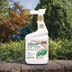 thumbnail image 2 of Bonide All Seasons Horticultural Dormant Spray Oil, 32 oz, 2 of 3