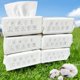 thumbnail image 1 of Toallitas faciales AM RIGHT THIRTY 600 unidades blancas, 1 of 9