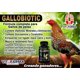 thumbnail image 3 of Vitamina VITOFARMA Gallobiotic 100 comprimidos para gallos y gallinas, 3 of 5