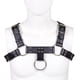 thumbnail image 1 of Harness Eros 2.0, 1 of 2