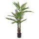 thumbnail image 1 of Palmera 150 Cm, 1 of 3