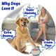 thumbnail image 4 of Juguete Masticable Para Perros 3 En 1 Suave Y Chirriante De Felpa Duradero, 4 of 8