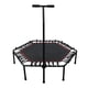 thumbnail image 2 of Trampolin Fitness Hexagonal Con Mango, 2 of 3