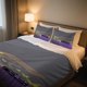 thumbnail image 1 of F1 Magic Duvet Cover Set HalloweenExclusive Vintage Comfort Set with 1 Duvet Cover and 2 Pillowcases, 1 of 1