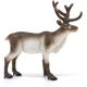 thumbnail image 3 of Colección Wild Life de Toy Schleich Reindeer 2024 para niños, 3 of 4
