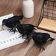thumbnail image 2 of 1pc, Halloween Crow Feather Decoration - Perfect for Parties and Decorations, 2 of 4