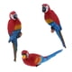 thumbnail image 3 of Ornamento animal del pájaro de la resina del loro realista 3x que cuelga mentira roja izquierda derecha, 3 of 3