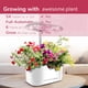 thumbnail image 4 of Kit de sistema de cultivo hidropónico Hydroponics Growing System Awesome Plant 6Pro de 6 cápsulas, 4 of 9