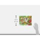 thumbnail image 3 of Puzzle Melissa & Doug Rainforest Floor, 48 piezas, 61 x 91 cm, 3 of 9