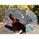 thumbnail image 1 of Libro DAZE No culpas, solo hechos - Rojo/Azul, 1 of 1