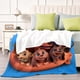 thumbnail image 4 of Pretzel y los Cachorros anti-pilling, suave, ligera, esponjosa y acogedora de lujo para hogar y cocina – Perfecta para niños y adultos,50X70cm, 4 of 6