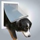 thumbnail image 2 of Dog Door Trixie Pet Products con cierre de 2 vías para perros de tamaño mediano a extragrande, 2 of 7