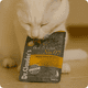 thumbnail image 3 of Alimento húmedo para gatos BS Pollo y faisán con albaricoques - Dr. Clauder's x5 pouch, 3 of 3