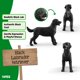 thumbnail image 2 of Figura de juguete Schleich Perro Labrador negro 14923, 2 of 5