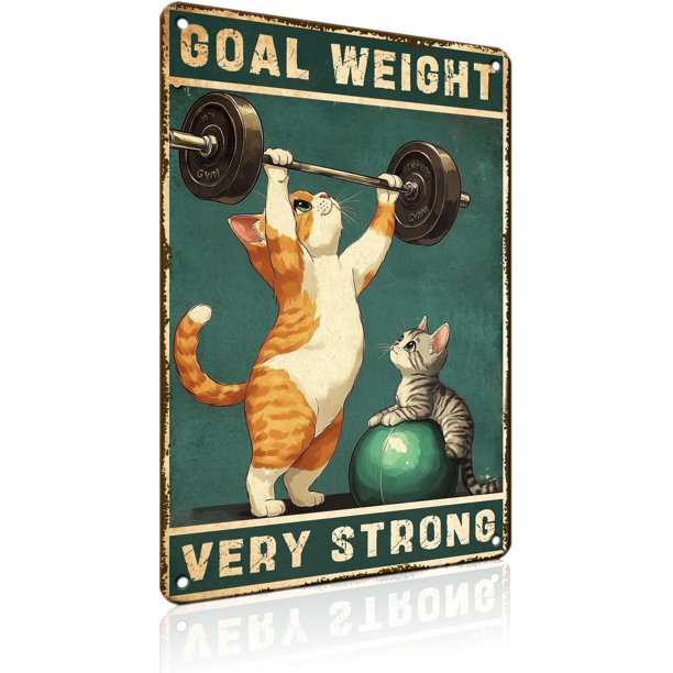 Letrero estaño metal gimnasio no dejas entrenar envejeces vintage arte pared hogar boxeo club 30x40cm