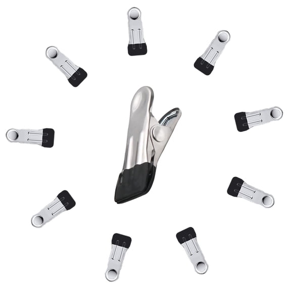 Pinzas para ropa BERYLER de acero inoxidable, antióxido, 10 unidades