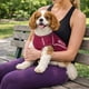 thumbnail image 5 of Playera sin mangas para perro Pet Life Active Racerbark para fitness, 5 of 9