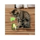 thumbnail image 3 of Juguete de Palta con Catnip Wonder Cat, 3 of 5