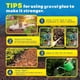 thumbnail image 2 of Mulch Rock Glue TTDMK Strong, aglutinante de arveja y gravilla, 4,9 L, para paisajismo, 2 of 7