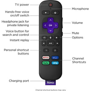 Roku Voice Remote Pro