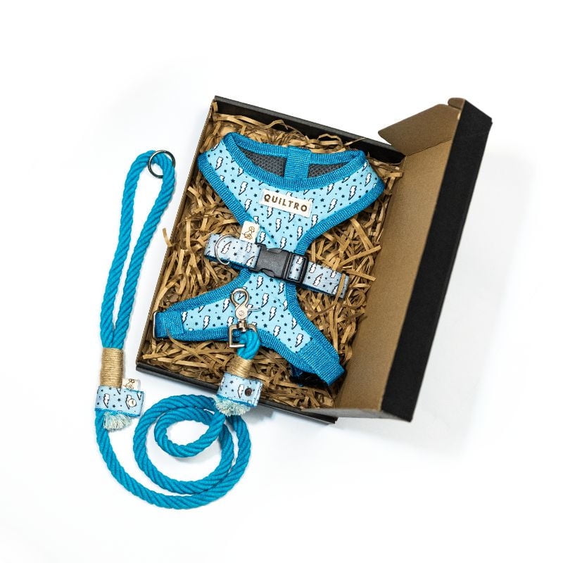 Quiltro - Set Accesorio Para Paseo Perro Rayos Celetes Talla L