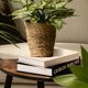 thumbnail image 4 of Libros decorativos Jardin Tesoro, juego de 2 en lino, 4 of 9