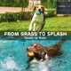 thumbnail image 5 of Juguetes para perros iPettie - Pack de 4 mordedores chirriantes con panal, 5 of 7