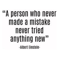 Rienda Libre Graphics - Decomural Never Made A Mistake Einstein Ws-44078