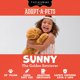 thumbnail image 2 of Peluche de perro Golden Retriever FAO Schwarz 56 cm, 2 of 9