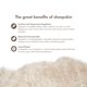 thumbnail image 3 of Alfombra Nordic Sheep 61 cm x 91 cm, pelo largo, color beige, 3 of 7