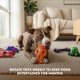 thumbnail image 4 of Juguetes para perros HAPPY STAFFY Chewzilla Set de 5 piezas, 4 of 9