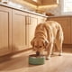 thumbnail image 3 of Plato para Perro Vibrant Life Large de 6.5 Cups en Acero Inoxidable Aislado, 3 of 3