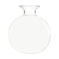 Magideal - Jarrón De Vidrio Transparente Para Germinar Semillas De Aguacate, Regalo Para El Día De La Madre, Hidropónico Para Jardín, Oficina, Mamás Amantes De Las Plantas. Estilo B