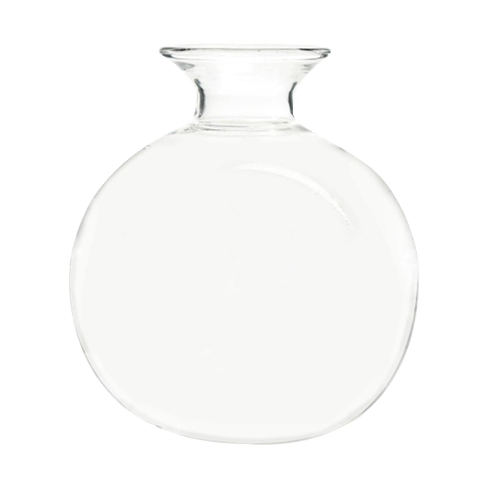 Magideal - Jarrón De Vidrio Transparente Para Germinar Semillas De Aguacate, Regalo Para El Día De La Madre, Hidropónico Para Jardín, Oficina, Mamás Amantes De Las Plantas. Estilo B