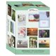 thumbnail image 1 of Tarjetas de Felicitación Shared Blessings - Paquete de 48 (KJV), 1 of 9