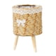 thumbnail image 1 of Cesta Tejida Para Plantas Con Patas Creativas Para Salón De Dormitorio De Granja, 1 of 5