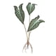 thumbnail image 1 of Hojas De Plantas Artificiales, Hojas Tropicales Verdes Para Cocina, Boda, Hojas De Taro, 64,5 Cm, 1 of 3