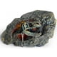 thumbnail image 2 of Escultura VEOJEIN Cueva Jurásica Réplica 3D de Fósil de T-Rex, 2 of 7