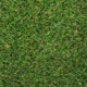 thumbnail image 2 of Pasto Sintetico 20mm Rollo 2x10 Metros Realista Con Memoria Guiza, 2 of 8