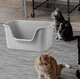 thumbnail image 2 of Baño Sanitario Anti-hongo Xl Previene Derrame De Arena Gato, 2 of 3
