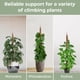 thumbnail image 4 of Soporte para plantas Moss Pole Monstera, 70 cm, flexible, paquete de 2 unidades, K-Brands, 4 of 6