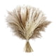 thumbnail image 3 of Ca?a De Ramo De Hierba De Pampa Natural Para Escritorio Fotografiar Arreglos Florales Estilo F, 3 of 5