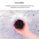 thumbnail image 5 of Set de regalo BoboSweetree de Bath Bombs, 6 gasies con flores auténticas, 5 of 7