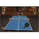 thumbnail image 4 of Videojuego Nintendo Wii Balls of Fury Reacondicionado, 4 of 6
